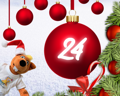 Türchen 24 - BHV Adventskalender