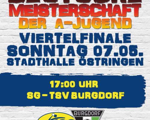Junglöwen streben Sieg gegen Burgdorf an