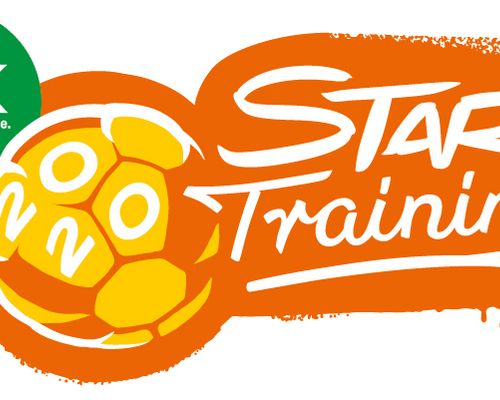 TAG DES HANDBALLS