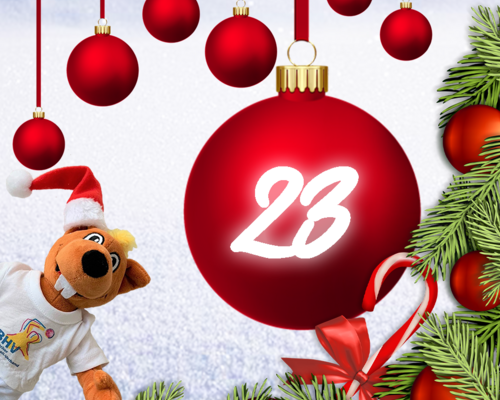 Türchen 23 - BHV Adventskalender