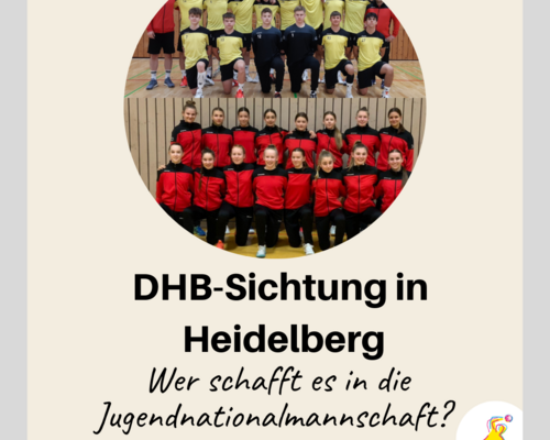 DHB-Sichtung in Heidelberg